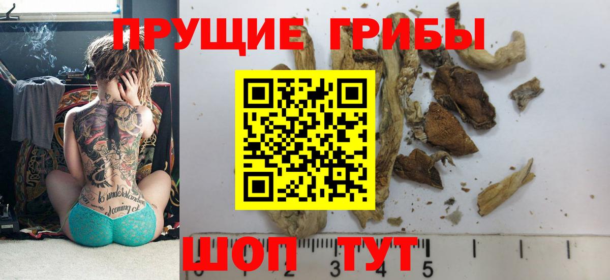 Галлюциногенные грибы мицелий  Вход с VPN  Ярославль 